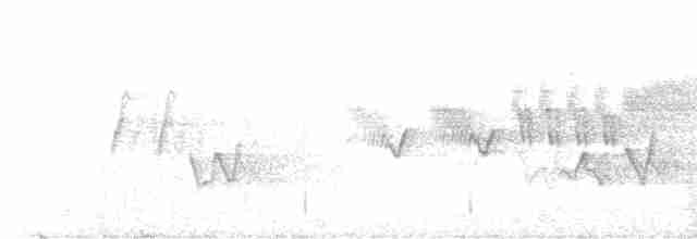 Cerulean Warbler - ML618828656