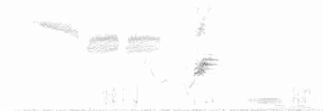Желтокрылая червеедка - ML618829443
