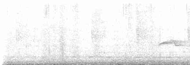 Бурый соловьиный дрозд - ML618829709