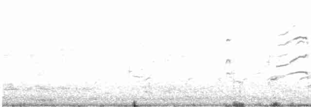 Kara Karınlı Islıkçı Ördek - ML618829990