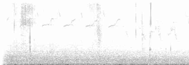 lesňáček černobílý - ML618832107