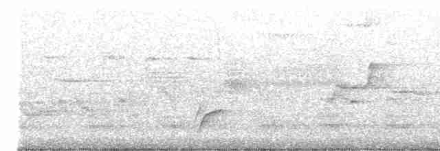 Дрізд-короткодзьоб Cвенсона - ML618836682