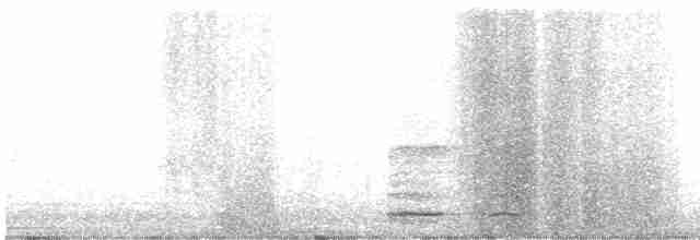 Ring-necked Pheasant - ML618837236
