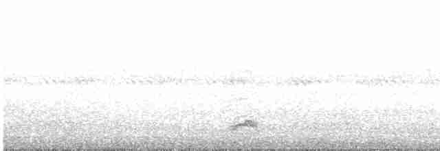 Black-crowned Night Heron - ML618837301