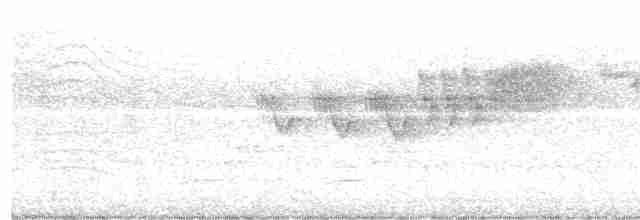 Cerulean Warbler - ML618839447