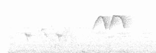 gråhakemønjefugl (solaris gr.) - ML618840040