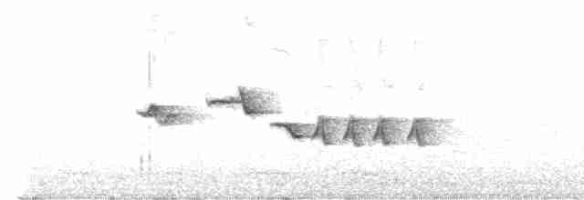 Скриточуб гімалайський - ML618840129
