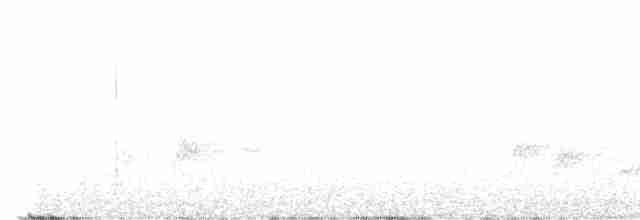Скриточуб гімалайський - ML618840130