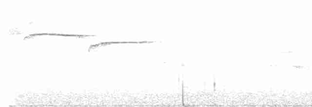 Papamoscas de Mcgrigor - ML618840210