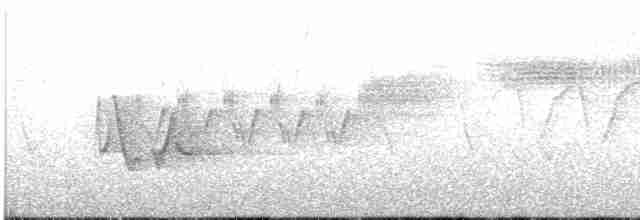 Cerulean Warbler - ML618841591