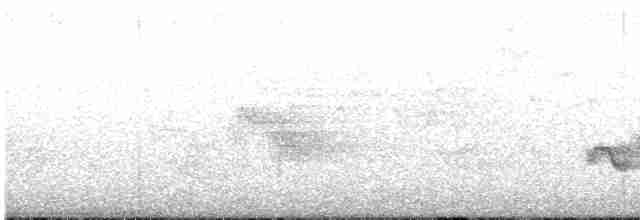Чернокрылая пиранга - ML618841694
