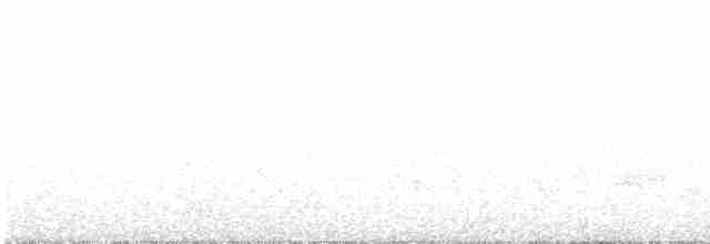 Western Orphean Warbler - ML618842530