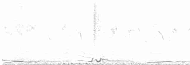 storpræriejerpe x småpræriejerpe (hybrid) - ML618843298