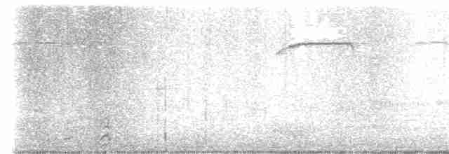 Connecticut Warbler - ML618846126