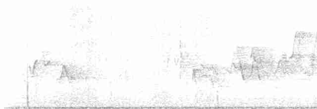 Prairie Warbler - ML618847124