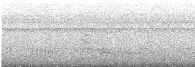 Kara Gagalı Koca Vireo - ML618847969