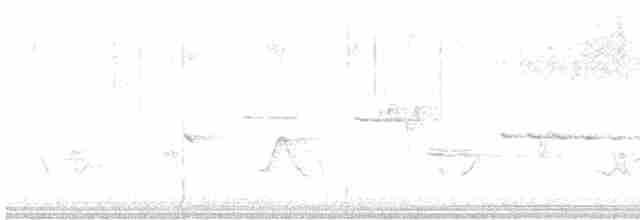 Kara Başlı Kocabaş - ML618848053