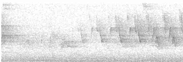 Дроздовый певун - ML618848190
