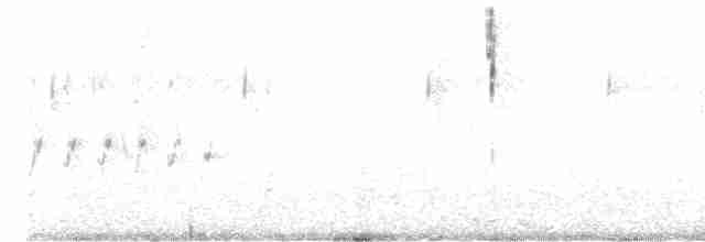 Пестрогрудый норник - ML618851216