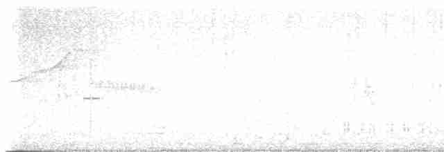 Морщинистоклювая ани - ML618851716