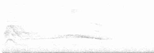 Белая агуйла - ML618852838