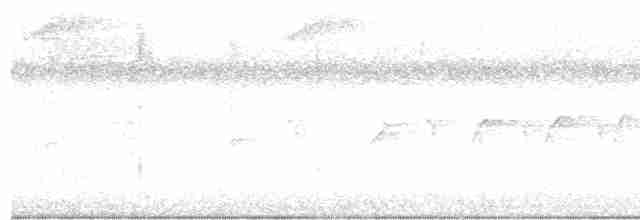 lenivka větší (ssp. minor) - ML618853040