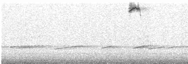 Кузнечиковая овсянка-барсучок - ML618853568