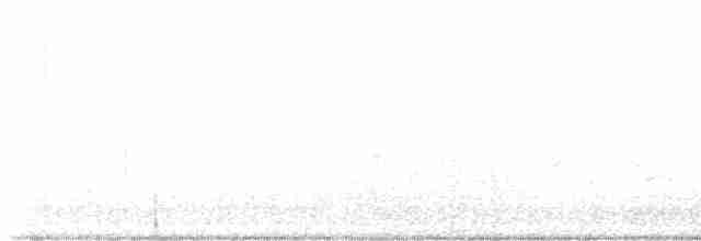 Белобровая овсянка (leucophrys) - ML618853627