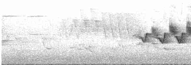 Cerulean Warbler - ML618854110