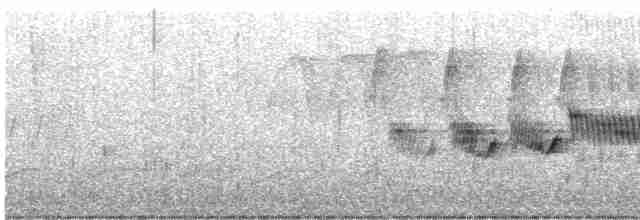 Cerulean Warbler - ML618854206