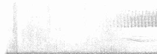 Paruline vermivore - ML618856652