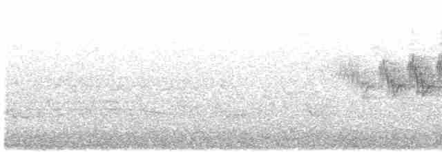 Cerulean Warbler - ML618857281