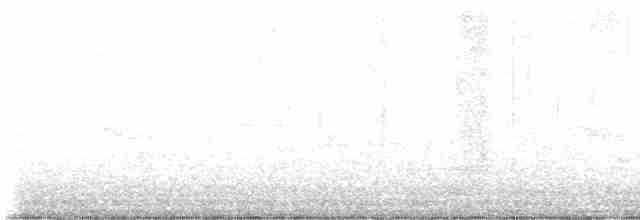 Yellow-rumped Warbler - ML618857302
