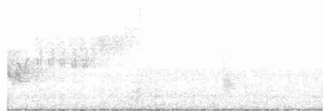Cerulean Warbler - ML618858038