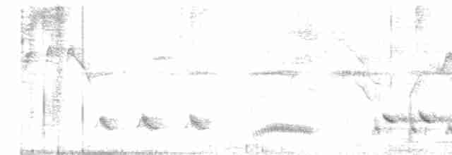 フナシマネシツグミ - ML618860183