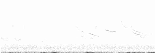 Eastern Meadowlark - ML618861609