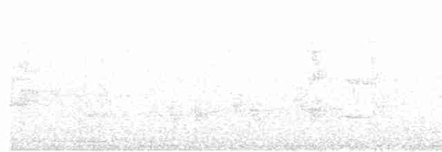 White-gaped Honeyeater - ML618861716