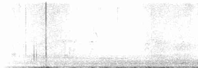 Veilchenkopfelfe - ML618863061