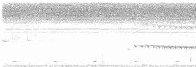 Alción de Esmirna - ML618863226