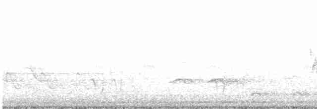 Черногорлая хвойница - ML618864791