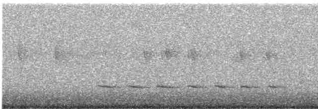 Sinsonte Norteño - ML618866170