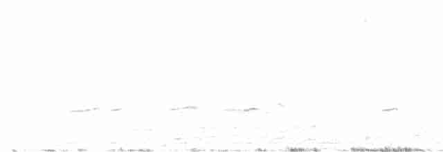 Benekli Notura Tinamusu - ML618868167