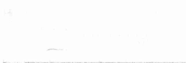 drozdec hnědý - ML618868979