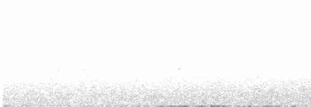 Tilki Renkli Serçe [megarhyncha grubu] - ML618869064