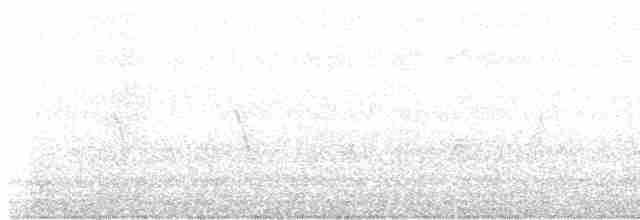 Опоясанный зимородок - ML618869324