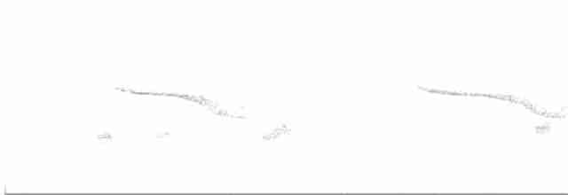 Breitspiegel-Nachtschwalbe - ML618869729