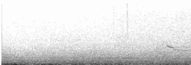 Sinsonte Norteño - ML618871573