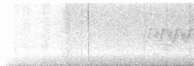 Cerulean Warbler - ML618872465