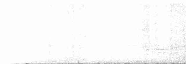 Красноплечий канюк - ML618875225