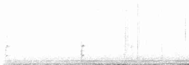 Spotless Crake - ML618876273